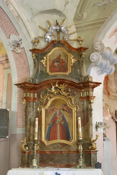 Ołtarz Matki Bożej Kościele Trzech Króli Komin Chorwacja — Zdjęcie stockowe