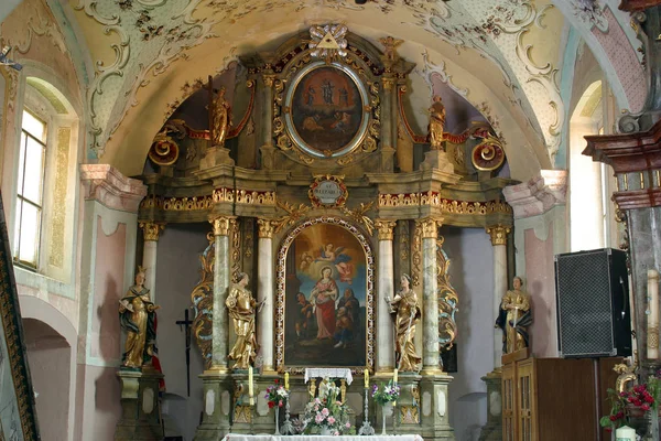 Ołtarz Elżbiety Kościele Trzech Króli Komin Chorwacja — Zdjęcie stockowe