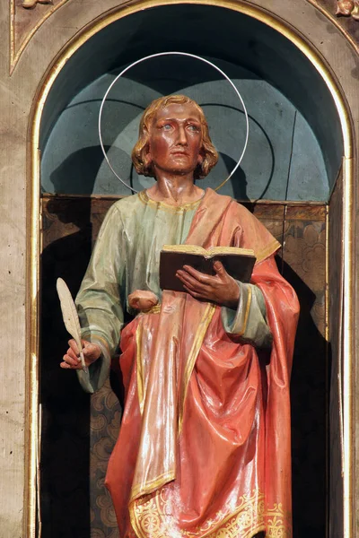 Johannes Evangelist Standbeeld Het Hoofdaltaar Van Sint Pieterskerk Sveti Petar — Stockfoto