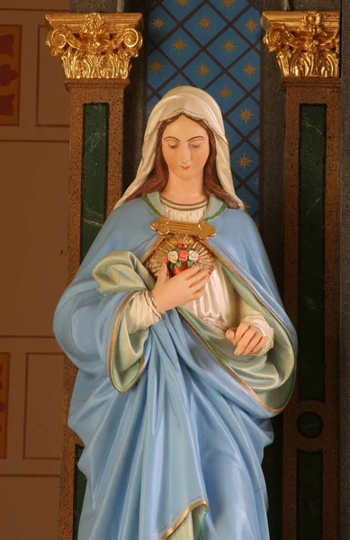 圣母圣心 克罗地亚斯韦提圣约翰浸信会中耶稣圣心圣坛上的雕像 — 图库照片