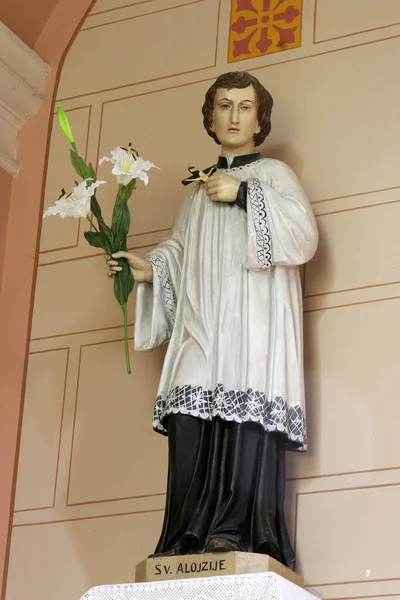 Aloysius Gonzaga Standbeeld Kerk Van Johannes Doper Sveti Ivan Zabno — Stockfoto