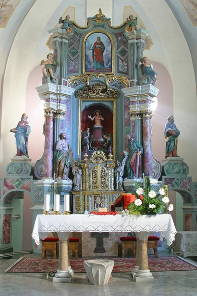 Ołtarz Główny Kościele Wita Brdovcu Chorwacja — Zdjęcie stockowe