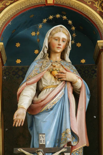 Altare Del Cuore Immacolato Maria Nella Chiesa Sant Anna Rozga — Foto Stock