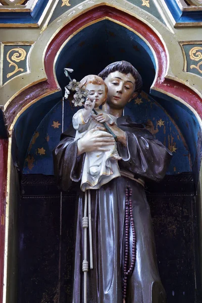 Άγιος Αντώνιος Κρατά Άγαλμα Του Ιησού Στον Βωμό Του Αγίου — Φωτογραφία Αρχείου