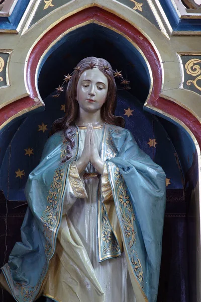 Madonna Altare Della Chiesa San Rocco Luka Croazia — Foto Stock