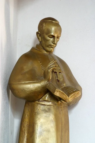 克罗地亚达普西亚历山大图书馆圣凯瑟琳的Aloysius Stepinac雕像 — 图库照片
