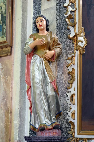 聖アントニウスの祭壇の上の聖ノッブルガ像クロアチア ゴルンジ ドラガネツの聖母マリア教会のヘルミット — ストック写真