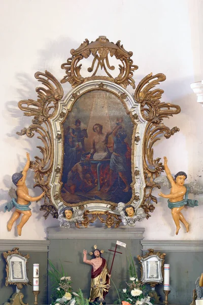 Altare San Vito Nella Chiesa Santo Stefano Protomartire Stefanje Croazia — Foto Stock