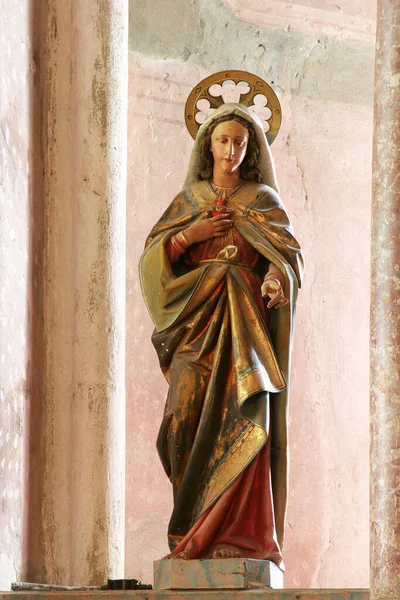 Immaculate Heart Mary Statue Main Altar Church Assumption Virgin Mary — Stock Photo, Image