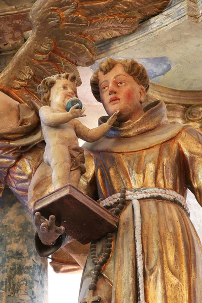 Статуя Святого Антонія Падуанського Головному Вівтарі Церкви Успіння Богородиці Таборско — стокове фото