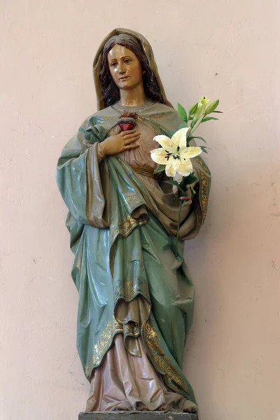 Cuore Immacolato Maria Statua Nella Chiesa Santa Caterina Alessandria Nevinac — Foto Stock