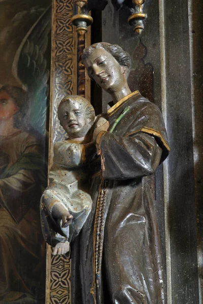 Святий Антоній Падуанський Статуєю Ісуса Вівтарі Святого Лаврентія Церкві Святого — стокове фото