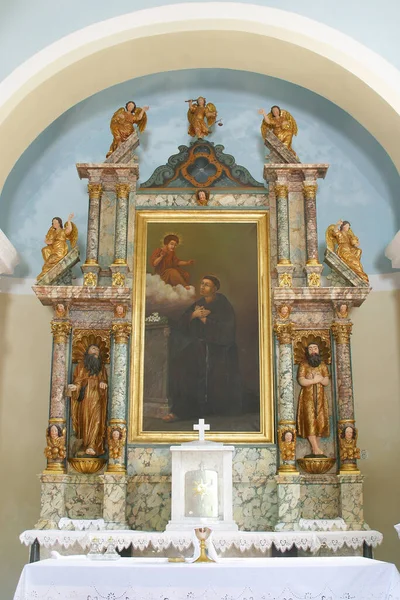 克罗地亚武卡尼奇帕多瓦教堂圣安东尼的圣安东尼圣坛 — 图库照片