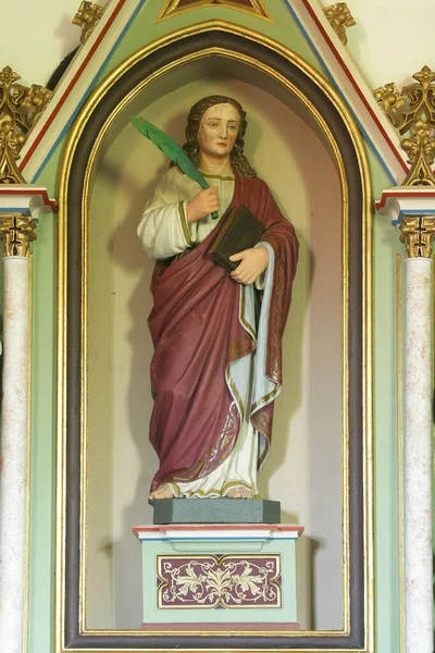 Saint Vitus Statue Altar Saint Vitus Our Lady Chapel Dubovec — Stock Photo, Image