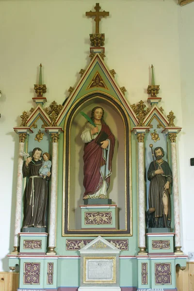 Santa Vitus Altar Nossa Senhora Capela Dubovec Croácia — Fotografia de Stock