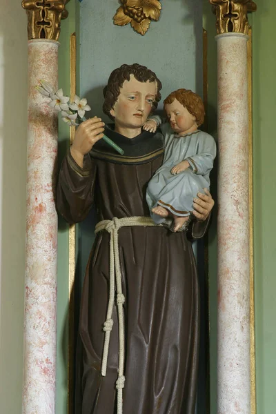 Statue Des Heiligen Antonius Von Padua Auf Dem Altar Des — Stockfoto