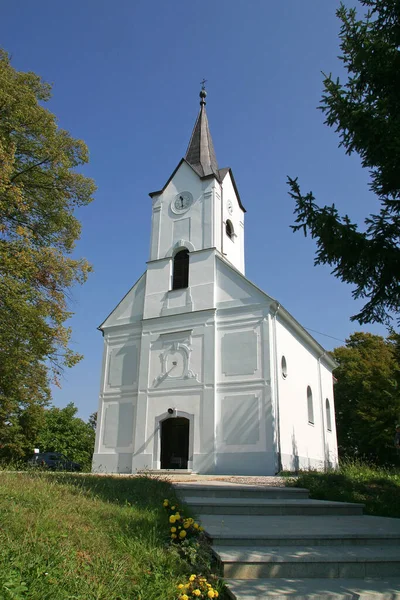 크로아티아 파도바 교회의 안토니우스 — 스톡 사진