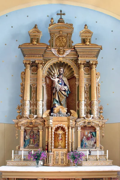 克罗地亚Barilovicki Leskovac Lourdes和St Joseph圣母教堂的主要祭坛 — 图库照片