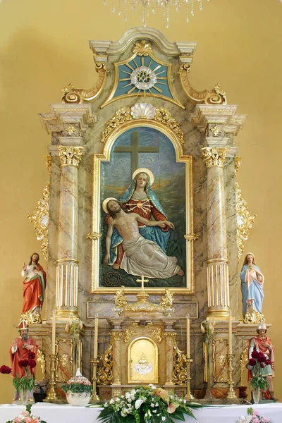 克罗地亚卡西纳圣彼得和保罗教区教堂的悲伤圣母祭坛 — 图库照片
