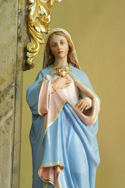 Immaculate Heart Mary Statue Altar Our Lady Sorrows Parish Church — Stock Photo, Image