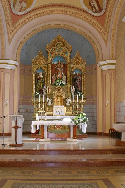 Ołtarz Główny Przy Kościele Nawiedzenia Najświętszej Maryi Panny Vukovina Chorwacja — Zdjęcie stockowe
