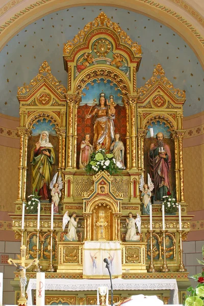 Altar Mayor Iglesia Visitación Santísima Virgen María Vukovina Croacia — Foto de Stock