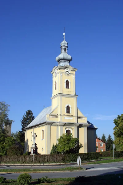 Szent József Plébániatemplom Grubisno Polje Horvátország — Stock Fotó