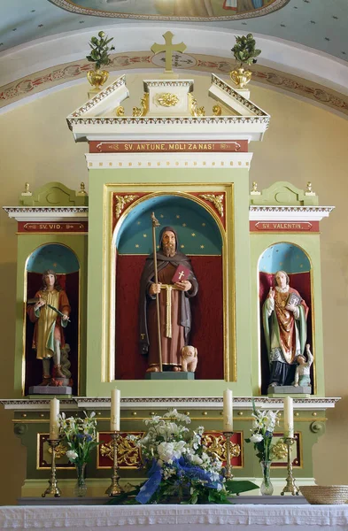 Altar Santo Antônio Eremita Igreja Paroquial São Nicolau Donja Zelina — Fotografia de Stock