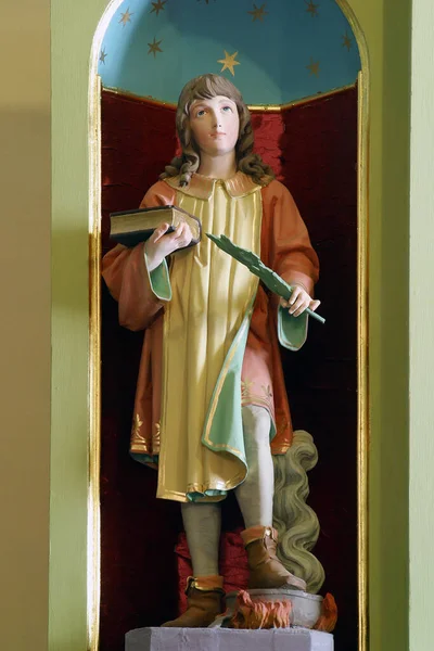 Sint Vitus Standbeeld Het Altaar Van Sint Antonius Kluizenaar Parochiekerk — Stockfoto