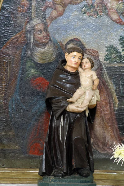 Sint Antonius Van Padua Standbeeld Heiligen Petrus Paulus Parochiekerk Cvetlin — Stockfoto