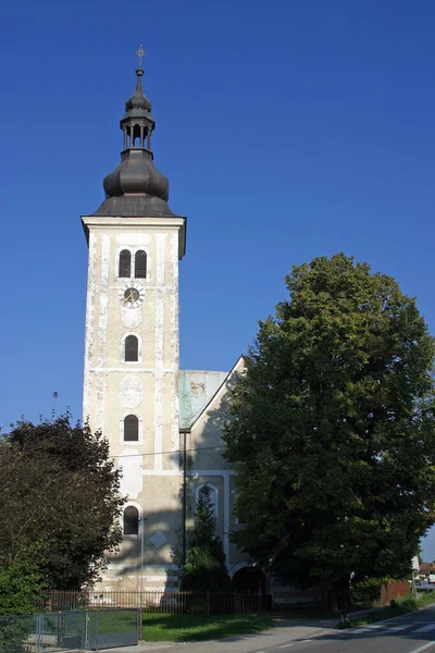 Farní Kostel Nanebevzetí Panny Marie Pescenici Chorvatsko — Stock fotografie