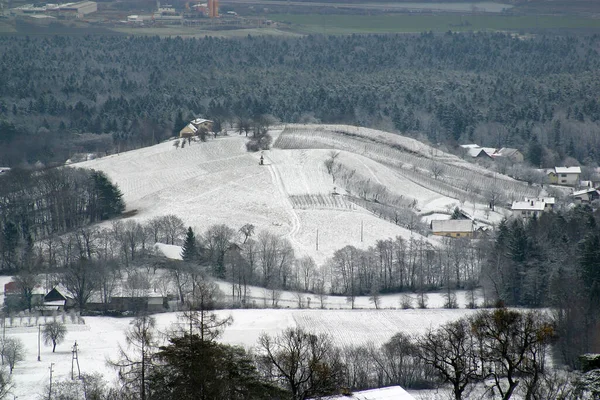 Téli Táj Fák Alatt Pohorje Hegyen Szlovénia — Stock Fotó