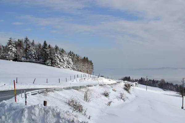 Slovenya Nın Pohorje Dağında Kar Altında Kış Manzarası Ağaçları — Stok fotoğraf