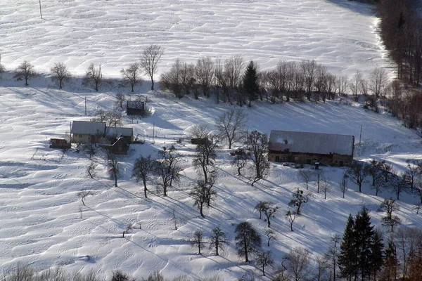 スロベニアのポホリエ山の雪の下の冬の風景の木 — ストック写真