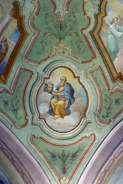 Der Heilige Evangelist Markus Fresko Der Pfarrkirche Mariä Heimsuchung Garesnica — Stockfoto