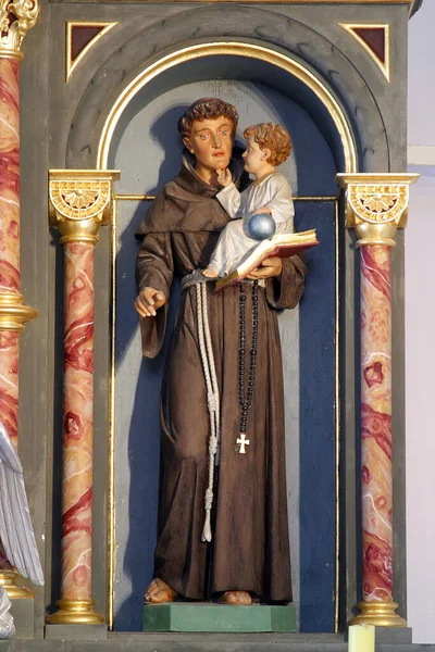 Sint Antonius Van Padua Houdt Baby Jezus Standbeeld Het Altaar — Stockfoto