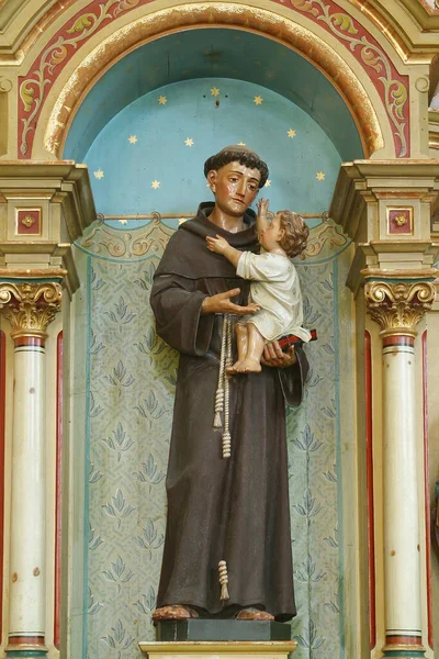 圣安东尼在克罗地亚佩西尼察市圣母升天教区教堂的圣安东尼祭坛上安放着婴儿耶稣的雕像 — 图库照片