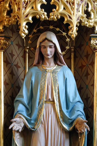 マリアの心を想像してみてください クロアチアのスラティナに聖ヨセフ教区教会の祭壇 — ストック写真