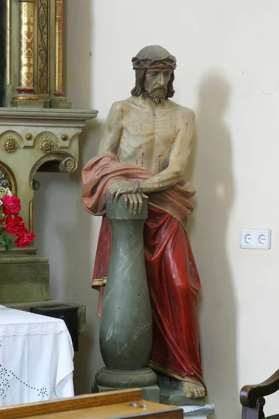 Christus Der Säule Die Statue Der Pfarrkirche Johannes Der Täufer — Stockfoto