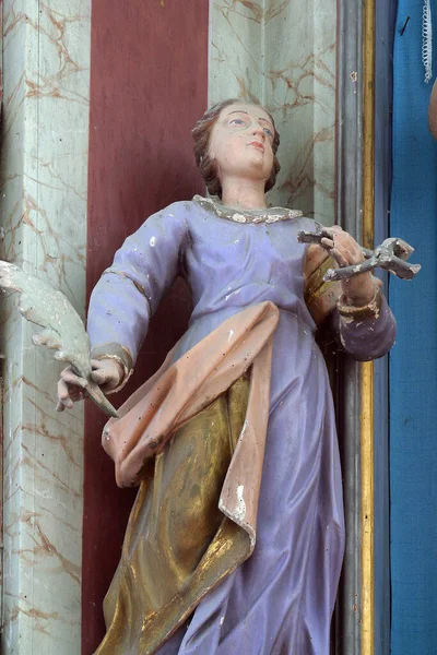 Sainte Apollonia Statue Sur Autel Sainte Barbara Dans Chapelle Notre — Photo