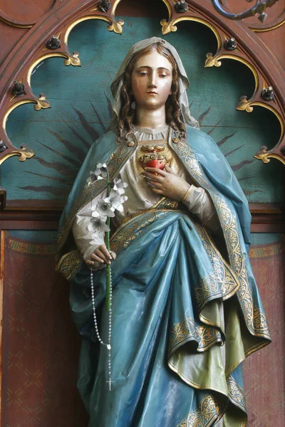 Непорочне Серце Статуї Марії Вівтарі Непорочного Серця Марії Парафіяльній Церкві — стокове фото