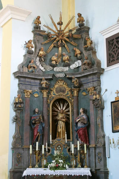 Altar San Francisco Asís Iglesia Santa Catalina Alejandría Krapina Croacia — Foto de Stock