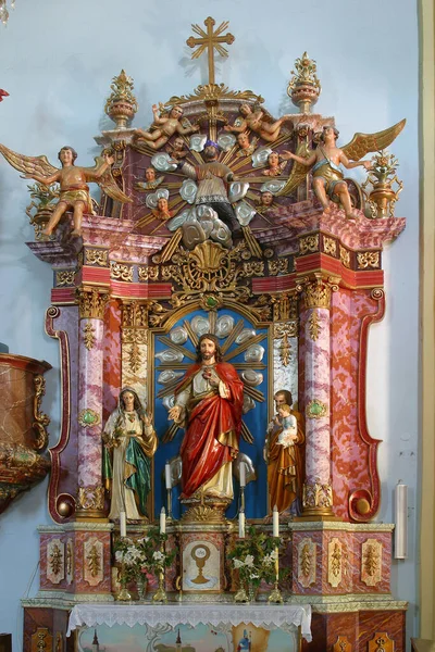 耶稣圣心 克罗地亚克拉皮纳亚历山大图书馆圣凯瑟琳教堂的祭坛 — 图库照片