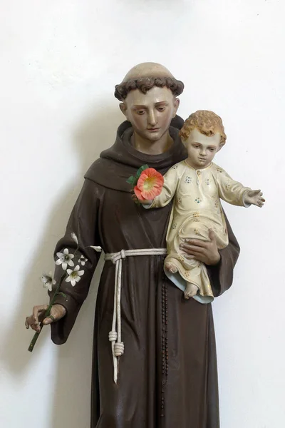 Sant Antonio Padova Con Braccio Statua Gesù Bambino Nella Chiesa — Foto Stock