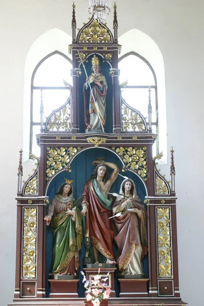 Ołtarz Świętych Fabiana Sebastiana Kościele Parafialnym Matki Bożej Cudów Ostarije — Zdjęcie stockowe