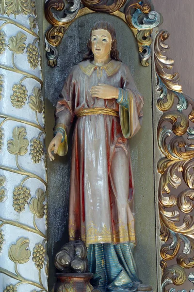 Santo Vito Estátua Sobre Altar Santo António Eremita Igreja Paroquial — Fotografia de Stock