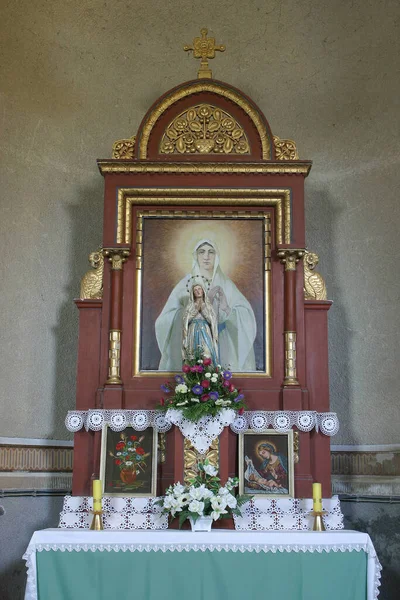 Autel Notre Dame Dans Église Paroissiale Saint Michel Archange Preloscica — Photo