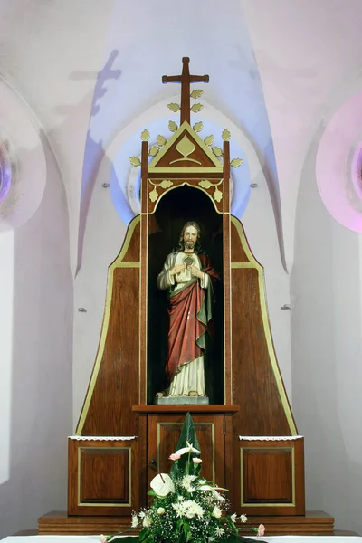 Sagrado Corazón Jesús Altar Iglesia Parroquial San Martín Dugo Selo — Foto de Stock