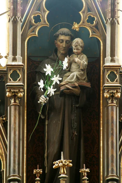 位于克罗地亚布克耶耶的帕多瓦的圣安东尼教区教堂的主祭坛上有一个儿童耶稣的雕像 — 图库照片