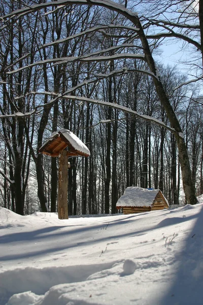 Winter Landscape Snow Covered Forest Wooden House Medvednica Mountain Zagreb — Stock Photo, Image